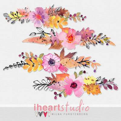 Harvest Blooms Illustrations