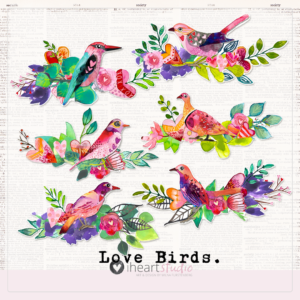 Love Birds
